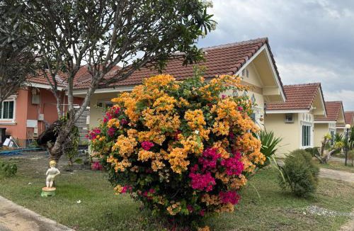 Pa Tong House | Aivarata Resort