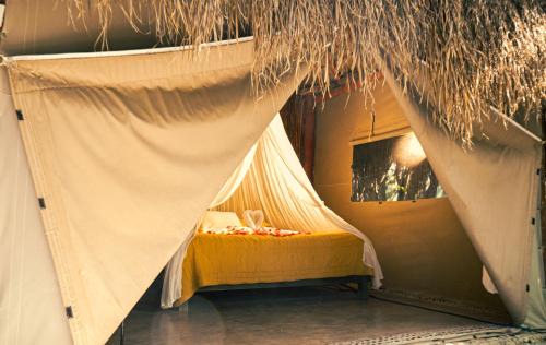 Akumal Hotel | Akumal Natura Glamping