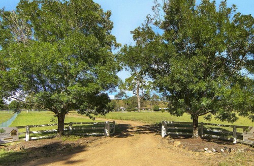 Bundook House | Altamira Chestnut, TOP NOTCH