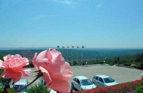 Alte Hotel | Alte Hotel