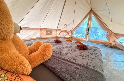 Khlong Sok Resort | Amornkeeree Khao Sok Camping