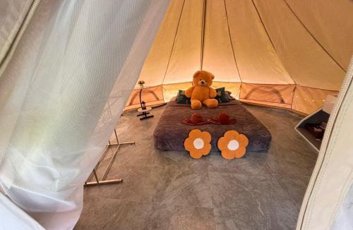 Khlong Sok Resort | Amornkeeree Khao Sok Camping