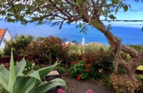Arco da Calheta Cottage | Arco Da Calheta: Little Norway in Madeira