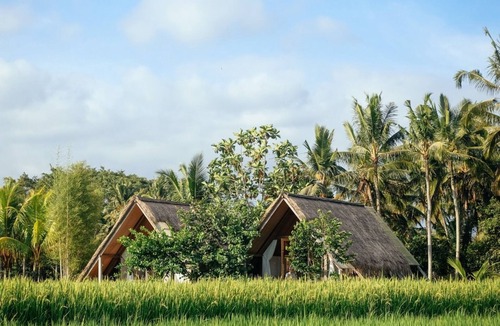 Peliatan Cabin | Awan Ubud