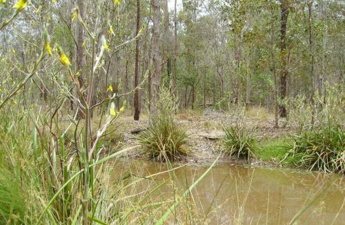 Woocoo House | Back to the Bush