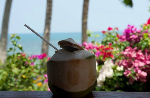 Bang Po Villa | Beachfront Villa Coconut Tropicana - Koh Samui