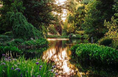 Tenterfield House | Breathe Glenrock Gardens