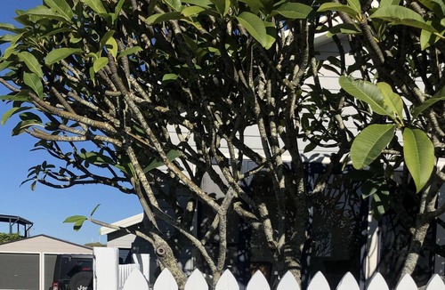 Brooms Head House | Brooms Head Beach House