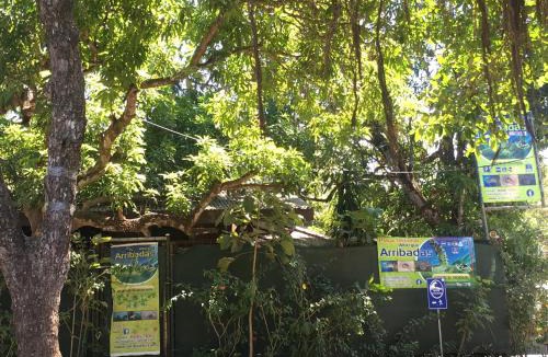 Ostional Hostel | Cabinas surf Arribadas