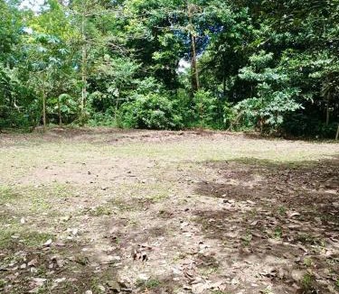 Rio Jimenez Other | Camping Los Búfalos
