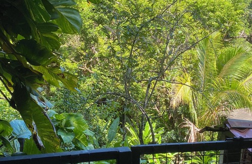 Montezuma House | Carpenter. A paradise in the middle of nature.