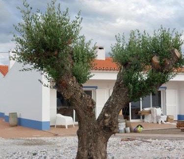 Reguengos de Monsaraz House | Casa Com Vagar