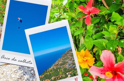 Calheta House | Casa da Achada in Arco da Calheta