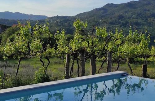 Arcos de Valdevez House | Casa da Barroca - Piscina Exclusiva & Natureza