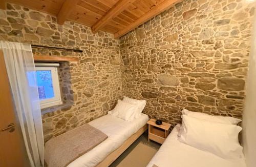 Sao Pedro da Cadeira House | Casa das Figueiras