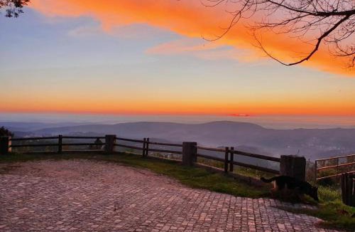 Pessegueiro do Vouga Villa | Casa de Campo com Olhar a Montanha