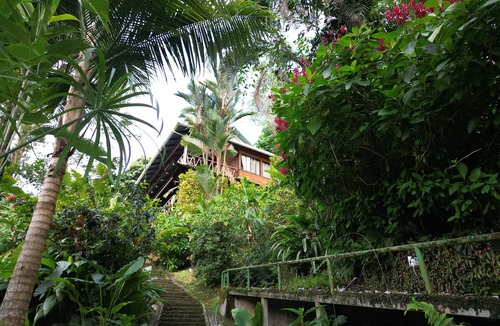 Punta Uva House | Casa Flyée