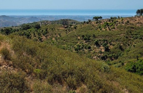 Fonte do Bispo Cottage | Casa Lynx, secluded hill top 2 bedroom getaway with pool and fenced garden