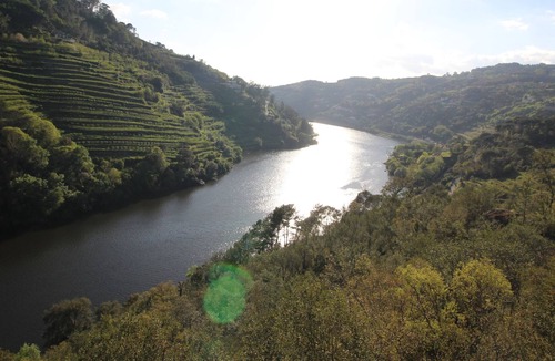Baiao Other | Casa Rústica no Douro, com Piscina e Churrasqueira