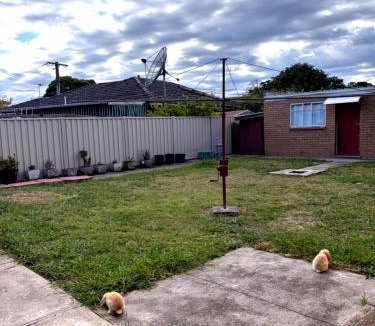 Springvale House | Central Springvale - Beautiful and spacious queen-bed room