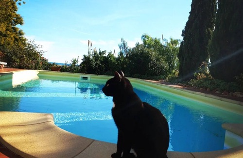 Olhao Villa | Charming villa with panoramic sea views