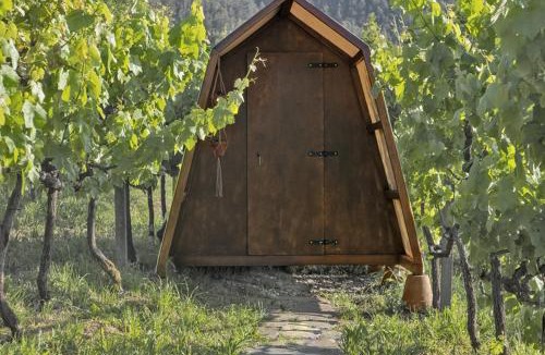 Castelo de Paiva House | Cimo da Vinha - Nature Spot