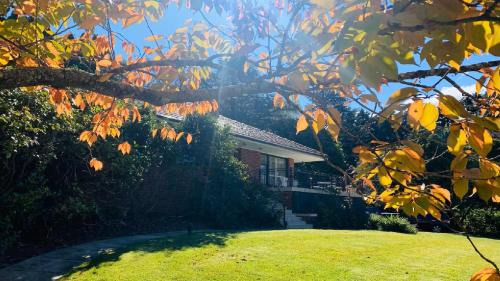 Katoomba House | Cliff Drive On Honeymoon Point