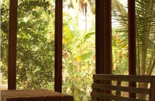 Chumphon House | Cocohut Garden