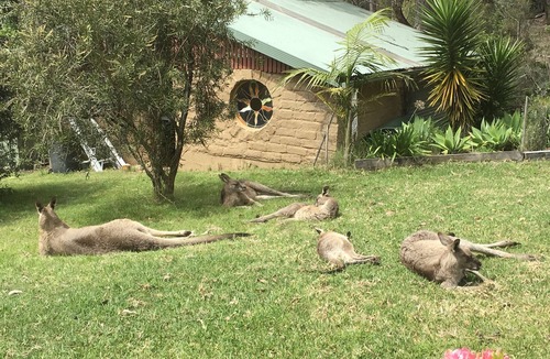 Tanja Cottage | Cosy mud brick cottage in a serene bush setting, near Tathra. 2 beds, sleeps 4.