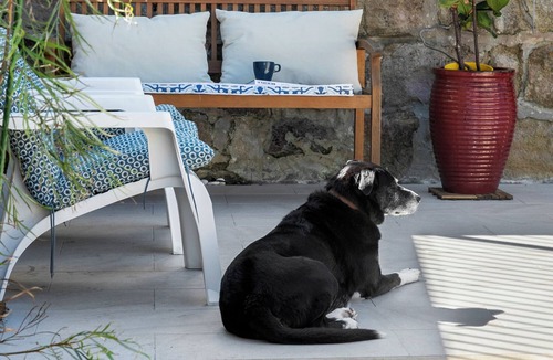 Manly Apartment | Cottage-style Unit on Manly Beach