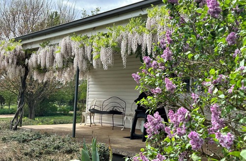 Molong House | Country Cottage Farm Stay