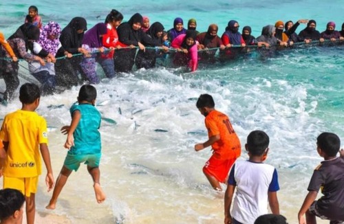 Thinadhoo Other | Cozy compact