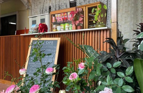 Pa Daet Hotel | DE ROSE Hotel Chiang Mai