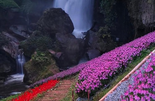 Ban Luang Resort | Doi Inthanon Waterfall Garden