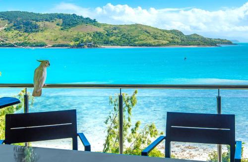 Hamilton Island Villa | Edge 5 Oceanfront 3-Bedroom Apartment - Featuring an Infinity Pool, Spa Bath, Buggy and Valet Service
