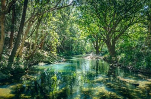 Gleniffer House | Evermoore Castle Bellingen