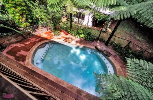 Midgeree Bar House | Fern House your serene rainforest retreat