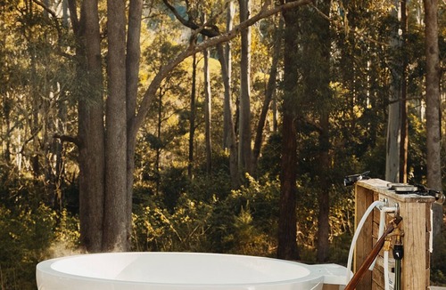 Toms Creek House | Forest Dome, set upon the foothills of the forest