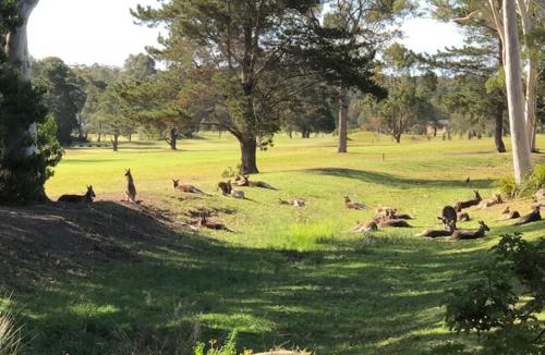 Sanctuary Point Hotel | Golf View Motel