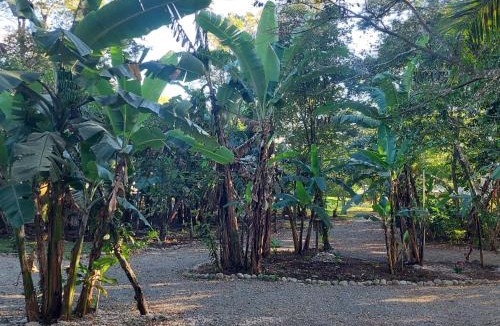 Mogote de Bagaces Apartment | Green Trails Miravalles