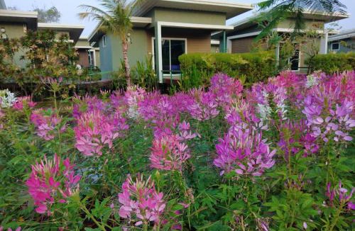 Phlap Phla Resort | Green Two Resort