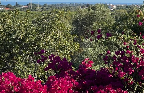 Santo Estevao Villa | Hidden Gem with complete privacy.