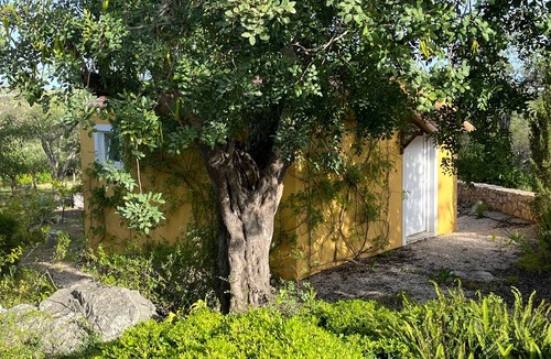 Santo Estevao Villa | Hidden Gem with complete privacy.