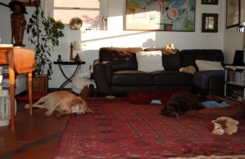 Sintra House | Isa's Home