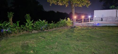 Makham Tia Apartment | Like Residence and 35 Apartment