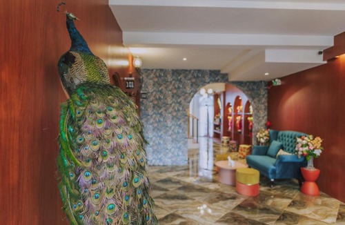 Chang Phueak Hotel | Ma Muan Budget & Boutique Chiang Mai