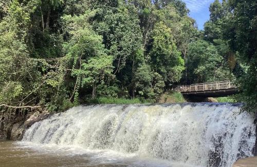 Upper Barron Bed & Breakfast | Malanda Falls Retreat