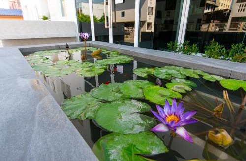 Rangsit Hotel | Matini Premium @ Klong 1