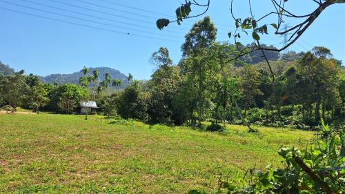 Thep Kasattri Resort | Meesaeng Homestay