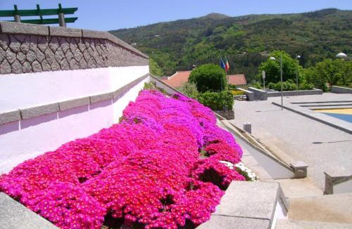 Monchique House | Miradouro da Serra